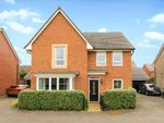 Thumbnail to rent in Sulgrave Street, Barton Seagrave, Kettering
