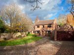 Thumbnail to rent in Flaxton, York