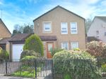 Thumbnail for sale in Rosebank Avenue, Falkirk, Stirlingshire