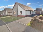 Thumbnail to rent in Maes Yr Ysgol, Templeton, Narberth