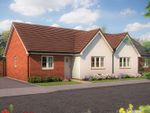 Thumbnail to rent in "The Hornbeam" at Marley Close, Thurston, Bury St. Edmunds
