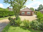 Thumbnail to rent in Ryston Road, West Dereham, King's Lynn