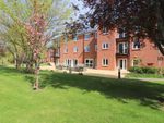 Thumbnail to rent in High View, Bedford, Bedfordshire