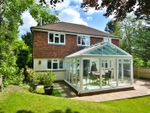 Thumbnail to rent in Amberley Road, Storrington, Pulborough, West Sussex