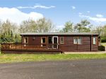 Thumbnail to rent in The Glade, St. Minver Holiday Park, Wadebridge, Cornwall