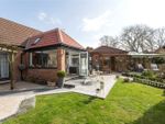 Thumbnail for sale in Netherwoods, Strensall, York, North Yorkshire
