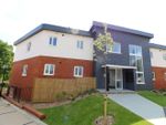 Thumbnail to rent in Robins Gate, Bracknell, Berkshire