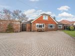 Thumbnail to rent in Tuckey Grove, Ripley, Woking