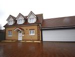 Thumbnail to rent in Rose Gardens, Dovercourt, Harwich