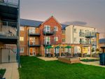 Thumbnail to rent in Anglesea Road, Southampton, Hampshire
