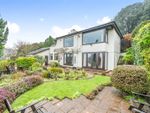 Thumbnail for sale in Nirvana Close, Ivybridge