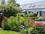 Thumbnail to rent in Dolmenyn, Hushwing Living, St Florence