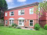Thumbnail to rent in Linfield Lane, Ashington, Pulborough
