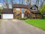 Thumbnail for sale in Woodham Gate, Newton Aycliffe