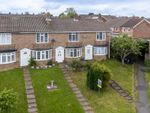 Thumbnail for sale in Birch Close, Uckfield