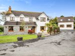 Thumbnail to rent in Maes Elwyn John, Reynalton, Kilgetty