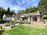 Thumbnail to rent in Holmbury St. Mary, Surrey