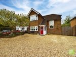 Thumbnail for sale in Rectory Road, Farnborough, Hampshire