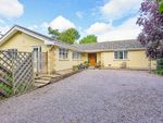 Thumbnail to rent in Old Lincoln Road, Caythorpe, Lincolshire