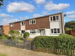 Thumbnail to rent in Bronte Close, Braintree