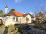 Thumbnail to rent in Elm Road, East Bergholt, Colchester, Suffolk
