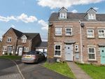 Thumbnail to rent in Wadlands Meadow, Okehampton