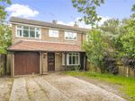 Thumbnail to rent in Durford Road, Petersfield, Hampshire