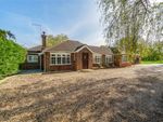 Thumbnail for sale in Chobham, Woking, Surrey