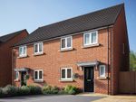 Thumbnail to rent in "Eveleigh" at Primrose Drive, Sowerby, Thirsk