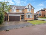 Thumbnail for sale in Ribbledale Close, Mansfield