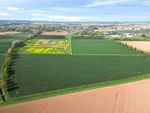 Thumbnail for sale in Lot 1 - Hall Marsh Farm, Long Sutton, Spalding, Lincolnshire