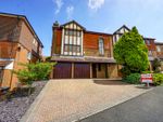 Thumbnail for sale in Truman Drive, St. Leonards-On-Sea