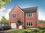 Thumbnail to rent in "The Belmont" at Thornton Drive, Hesketh Bank, Preston