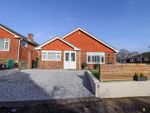 Thumbnail to rent in Sussex Close, Bexhill-On-Sea