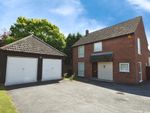 Thumbnail for sale in Ponds Road, Galleywood, Chelmsford