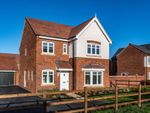 Thumbnail to rent in "Calver" at Starflower Way, Mickleover, Derby