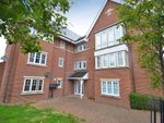 Thumbnail to rent in St Helena Avenue, Newton Leys, Milton Keynes, Buckinghamshire
