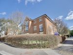 Thumbnail for sale in Serotine Close, Knowle, Hampshire