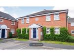 Thumbnail to rent in Canons Court, Bishopthorpe, York
