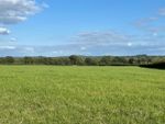 Thumbnail for sale in Snailing Lane, Greatham, Liss