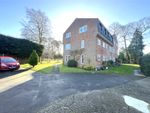 Thumbnail to rent in Camberley, Surrey