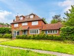 Thumbnail to rent in Lords Hill Common, Shamley Green, Guildford, Surrey