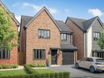 Thumbnail to rent in "The Burnham" at Rose Hill, Stafford