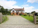 Thumbnail to rent in Hastoe Hill, Hastoe, Tring