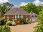 Thumbnail to rent in Birds Hill Road, Leatherhead