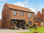 Thumbnail to rent in "The Westbrook - Detached" at Aarons Hill, Godalming