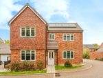 Thumbnail to rent in Hestia Place, Burgess Hill