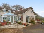 Thumbnail to rent in Old Taunton Road, Dalwood, Axminster