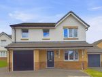 Thumbnail for sale in Abernethy Place, Newarthill