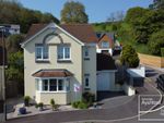 Thumbnail for sale in Martinique Grove, The Willows, Torquay